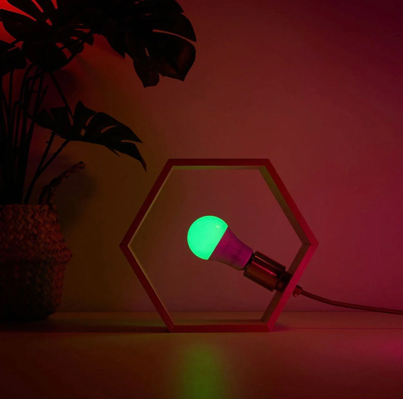 Smart LED Light Bulbs