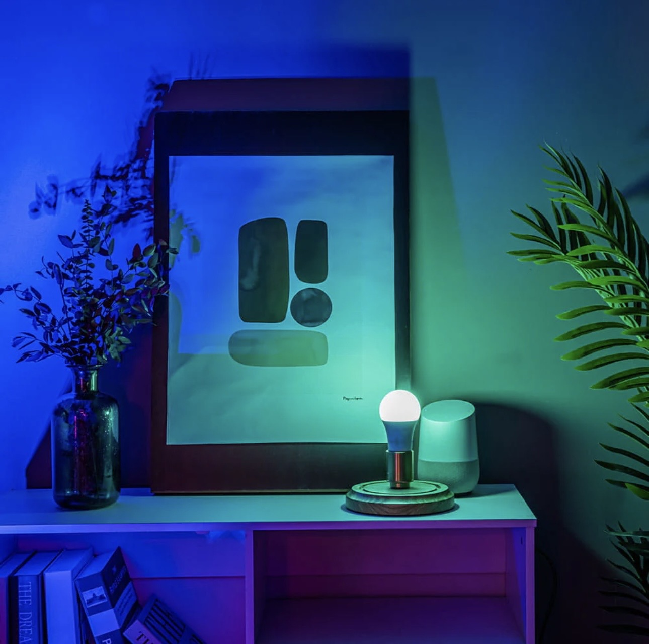 Smart LED Light Bulbs
