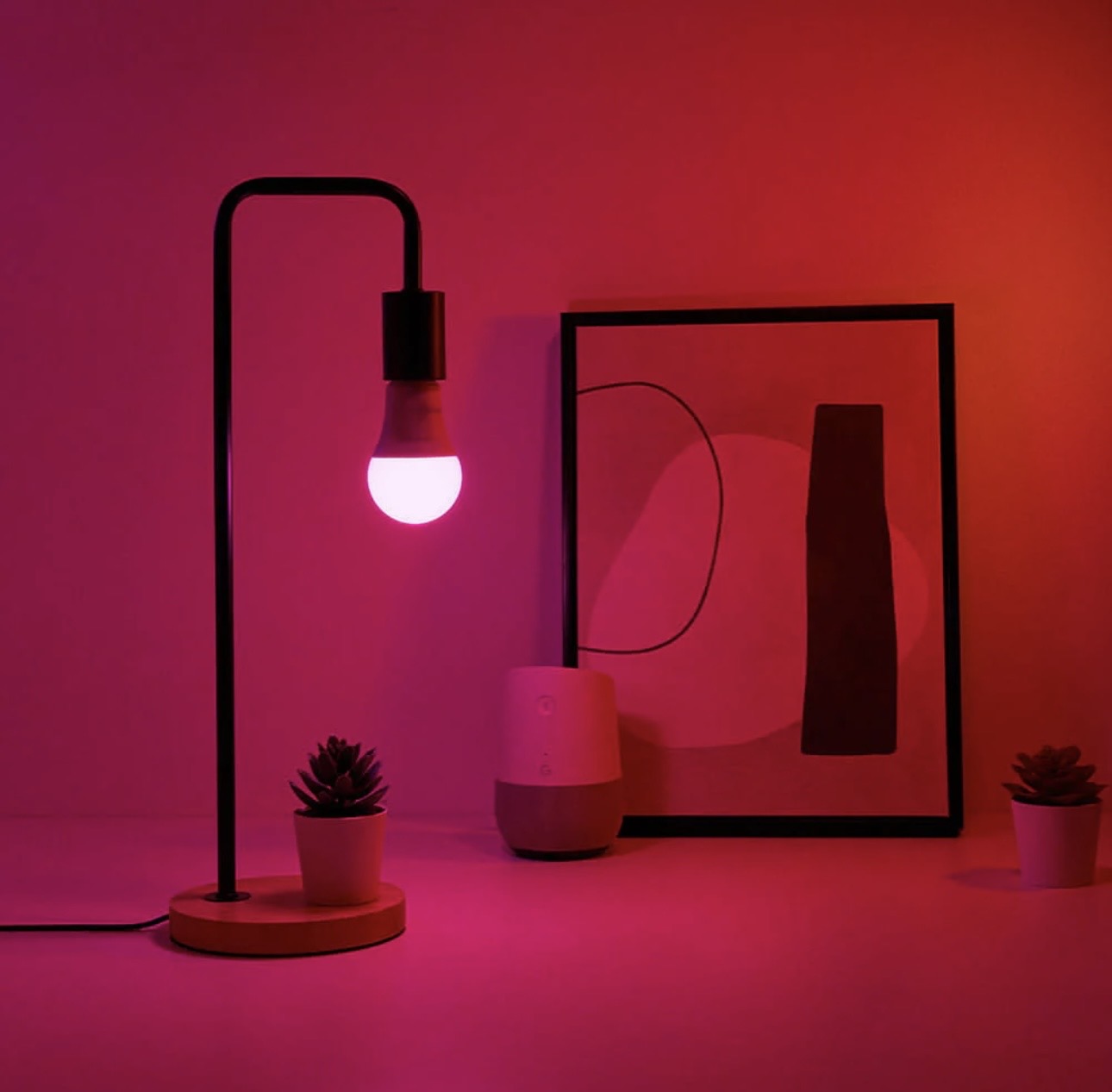 Smart LED Light Bulbs